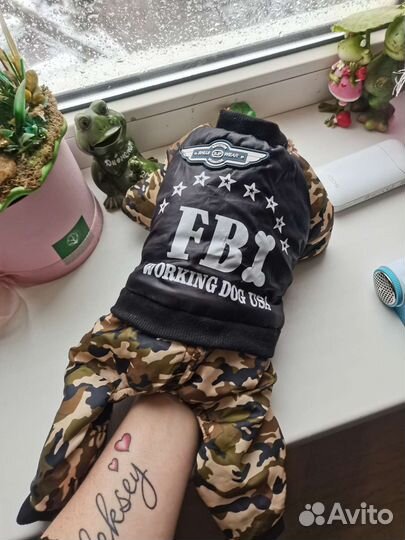 Вещи для маленькой собаки