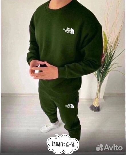 Осенний спортивный костюм tnf