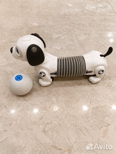 Ycoo робот собака