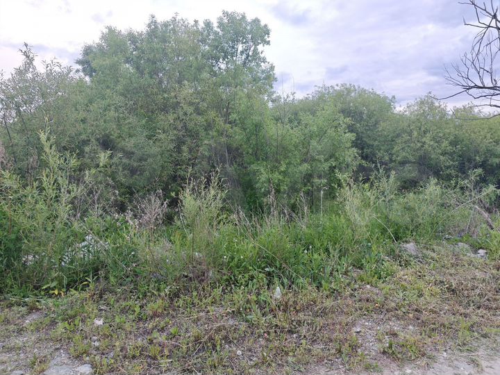 Участок 6 сот. (ИЖС)