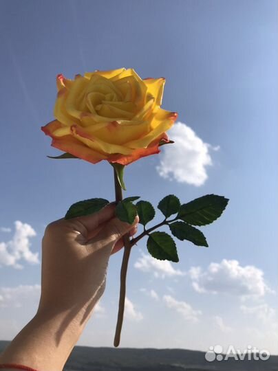 Цветы из холодного фарфора