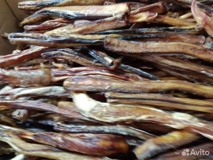 Лакомства для собак