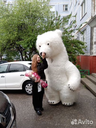 Медведь поздравление