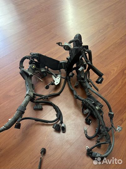 Проводка Toyota Camry, штекеры