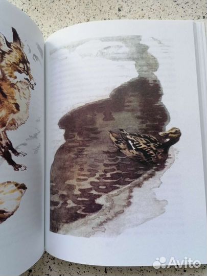 Книги для детей