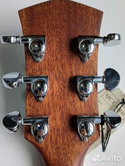 Гитара Parcwood s21-GT