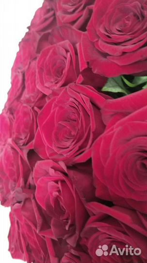 Роза свежая с доставкой цветы