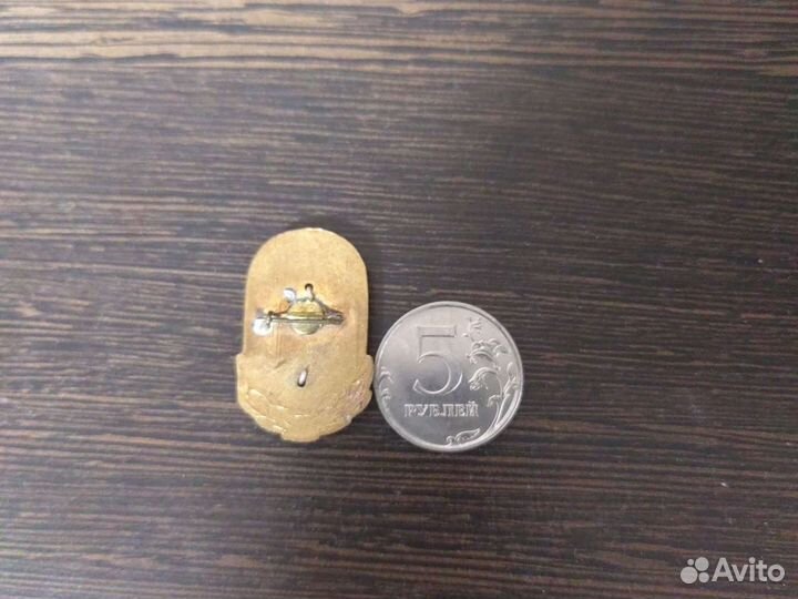 Значок Команда мастеров футбола