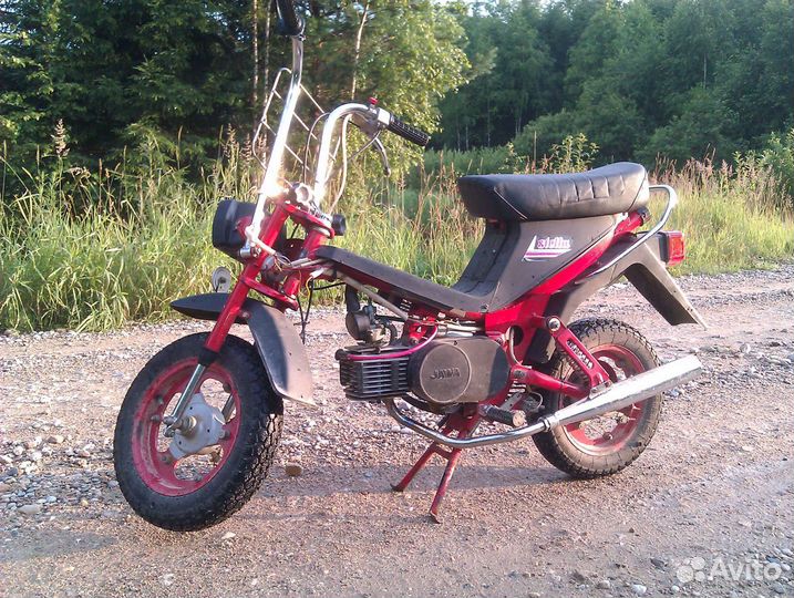 Рига стелла