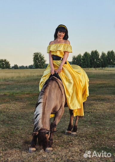 Лошадь мерин в аренду