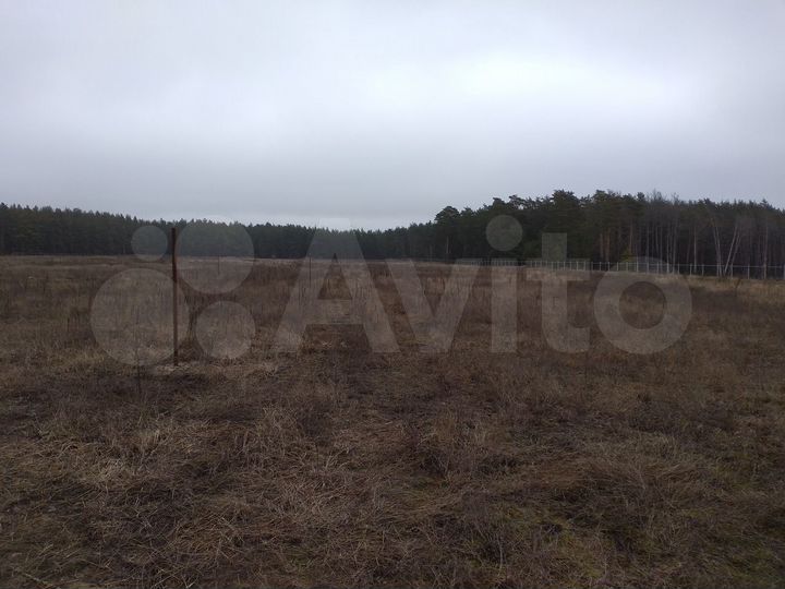 Участок 6 га (ИЖС)