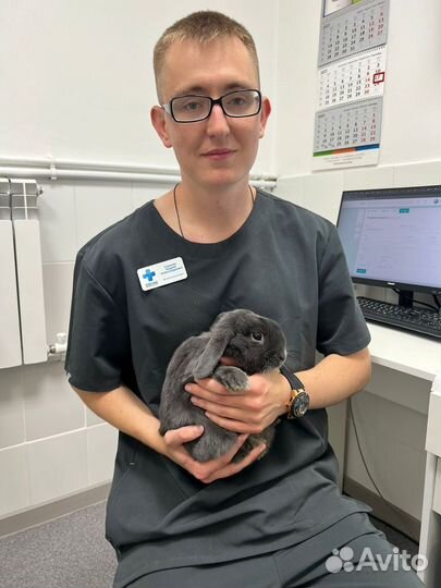 Ветеринарный врач- друг