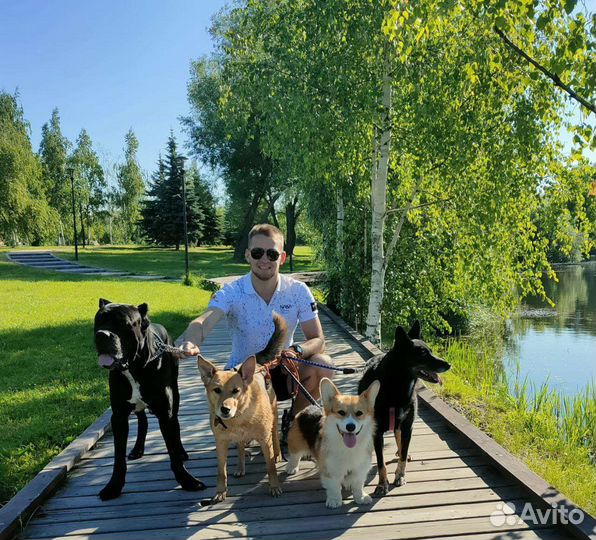 Выгульщик и ситтер для собак и других животных