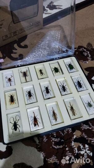 Насекомые в эпоксидной смоле деагостини