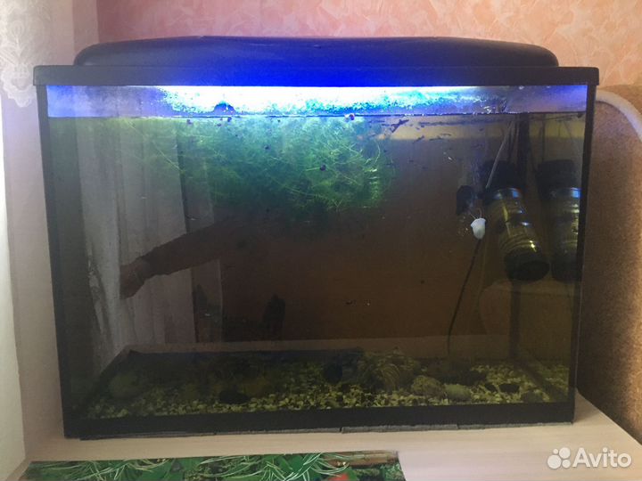 Продам аквариум на 150л