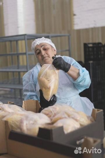 Домашний бройлер