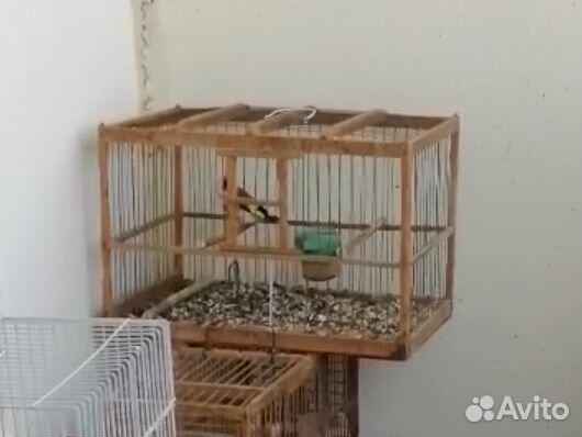 Деревянная клетка для птиц