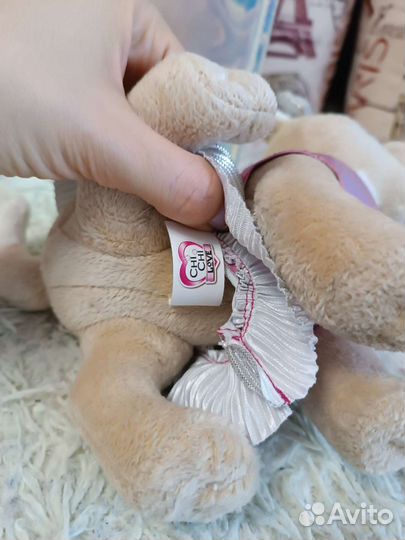 Собака Chi chi love