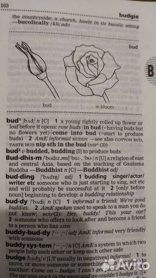 Longman Dictionary of Contemporary English