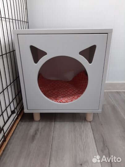 Передержка кошек