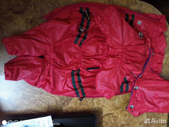 Демисезонный комбез на маленькую собаку, размер S