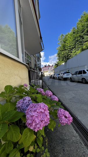 1-к. квартира, 25,7 м², 5/5 эт.