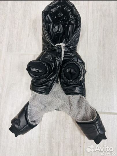 Одежда для собак мелких пород