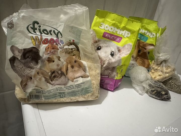 Джунгарский хомяк с клеткой