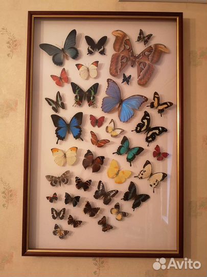 Панно Бабочки настенное
