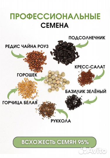 Набор для выращивания микрозелени 10 урожаев