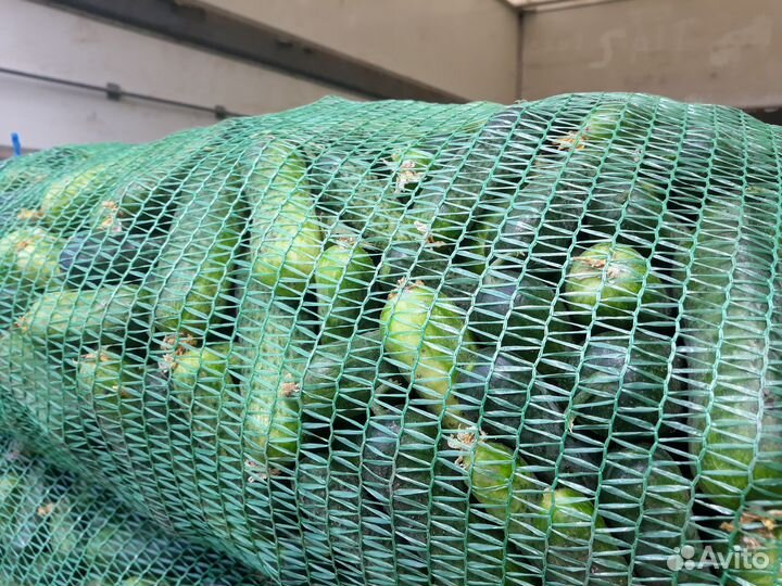 Сетка овощная, 13-15кг, 36х56, на завязках