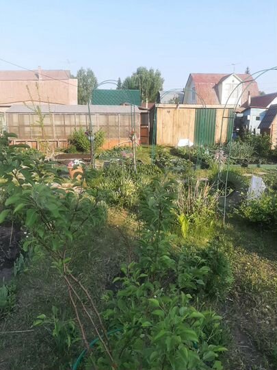 Дача 40 м² на участке 4 сот.