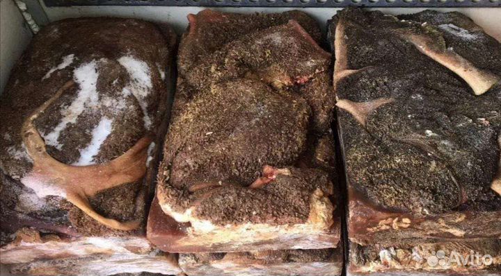 Кормление собак субпродуктами