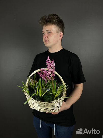 Растения живые