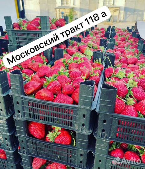 Свежая клубника Азербайджанская