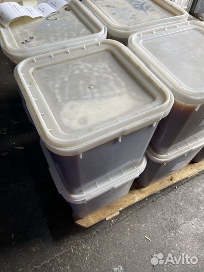 Мёд натуральный эспарцет 2023г оптом