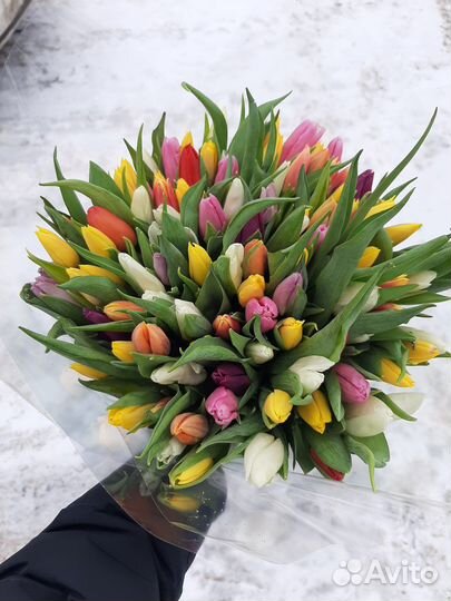 Тюльпаны к 8 марта