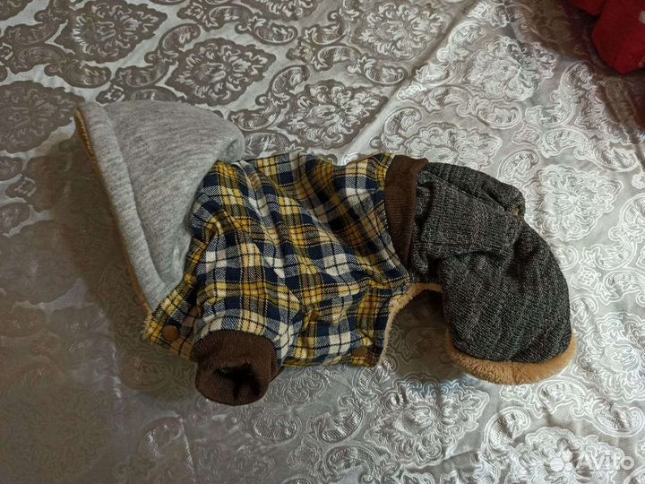 Куртка зимняя для йорка