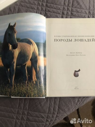 Энциклопедия «Породы лошадей»