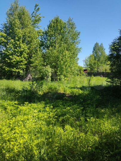 Участок 12 сот. (ИЖС)