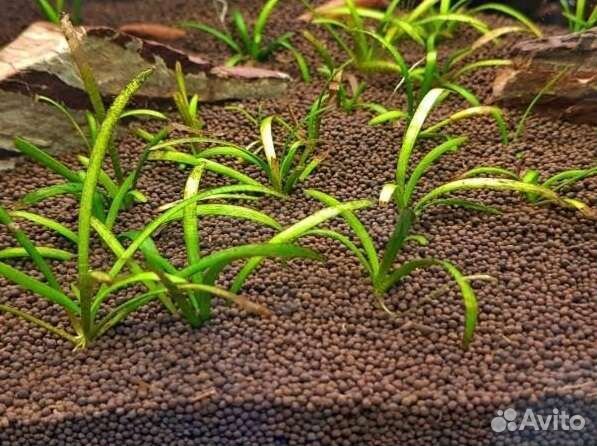 Грунт для аквариума пропант