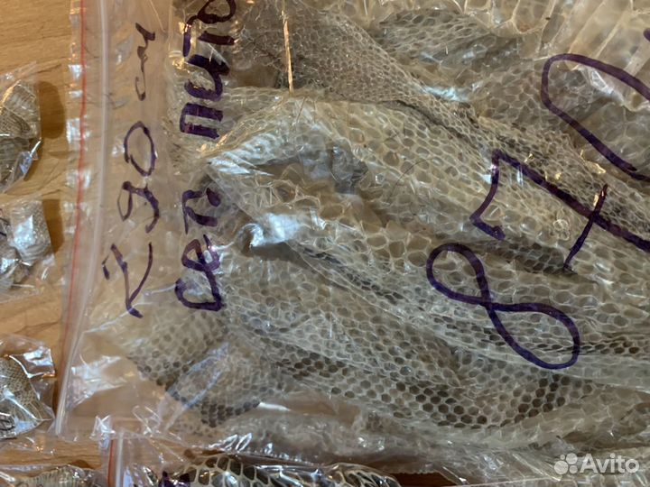 Змеиный выползок, шкура змеи(см.описание)