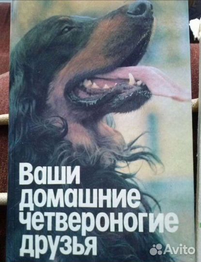 Ваши домашние четвероногие друзья