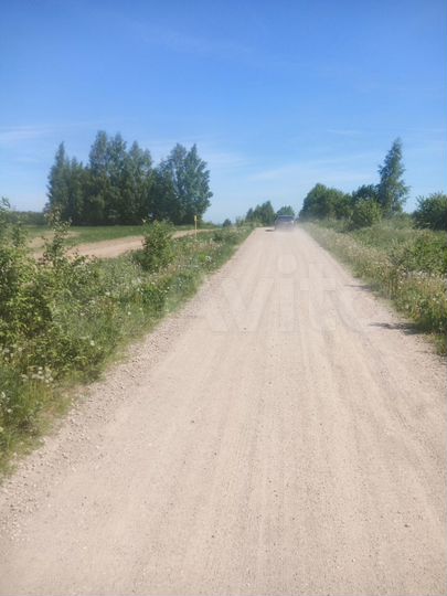 Участок 12,8 сот. (СНТ, ДНП)