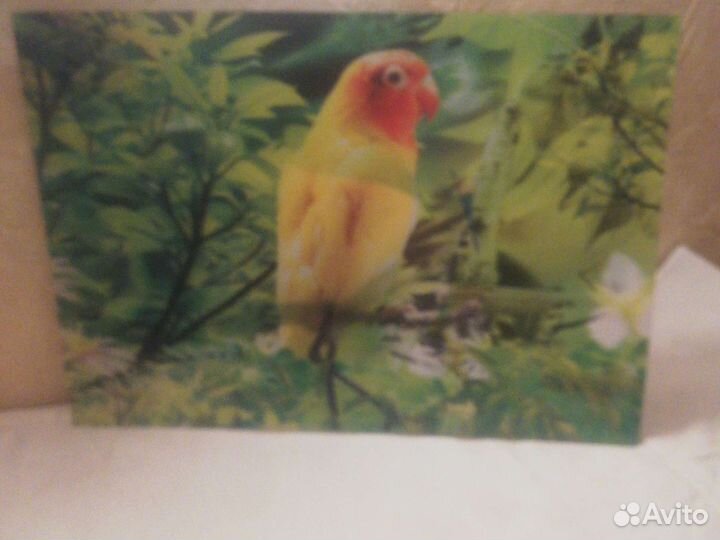 Картина перелевалка эквивалент 200 ру