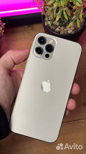 iPhone 12 Pro Max, 256 ГБ