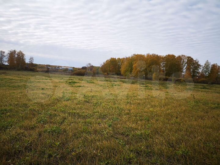 Участок 43 га (СНТ, ДНП)