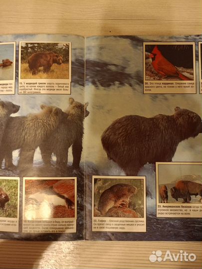 Журнал для наклеек Мир животных Панини