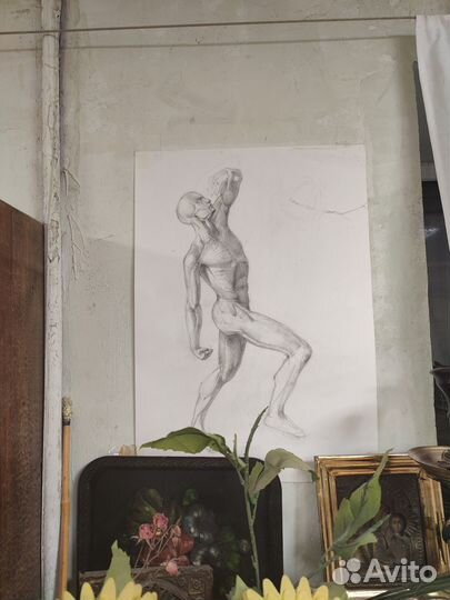 Обучение академическому рисунку и живописи