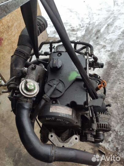 Двигатель Volkswagen Polo 4 (2001 - 2009) 1.4 AMF